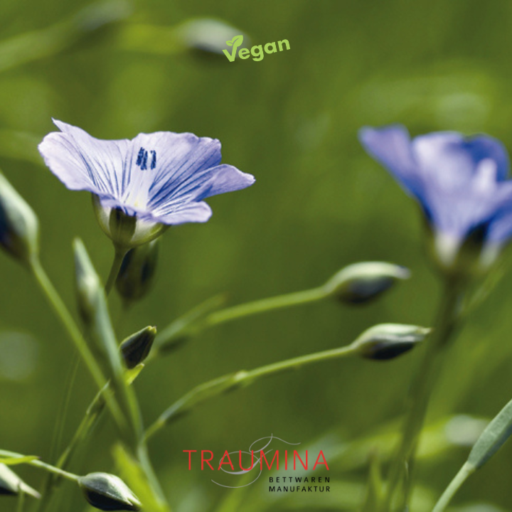 Traumina_Naturfaser_Leinen