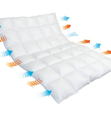 Breeze Daune Ganzjahresdecke / leichte Winterdecke
