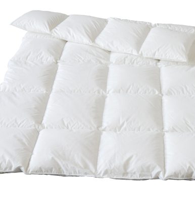 Plume Bio Daune Winterdecke